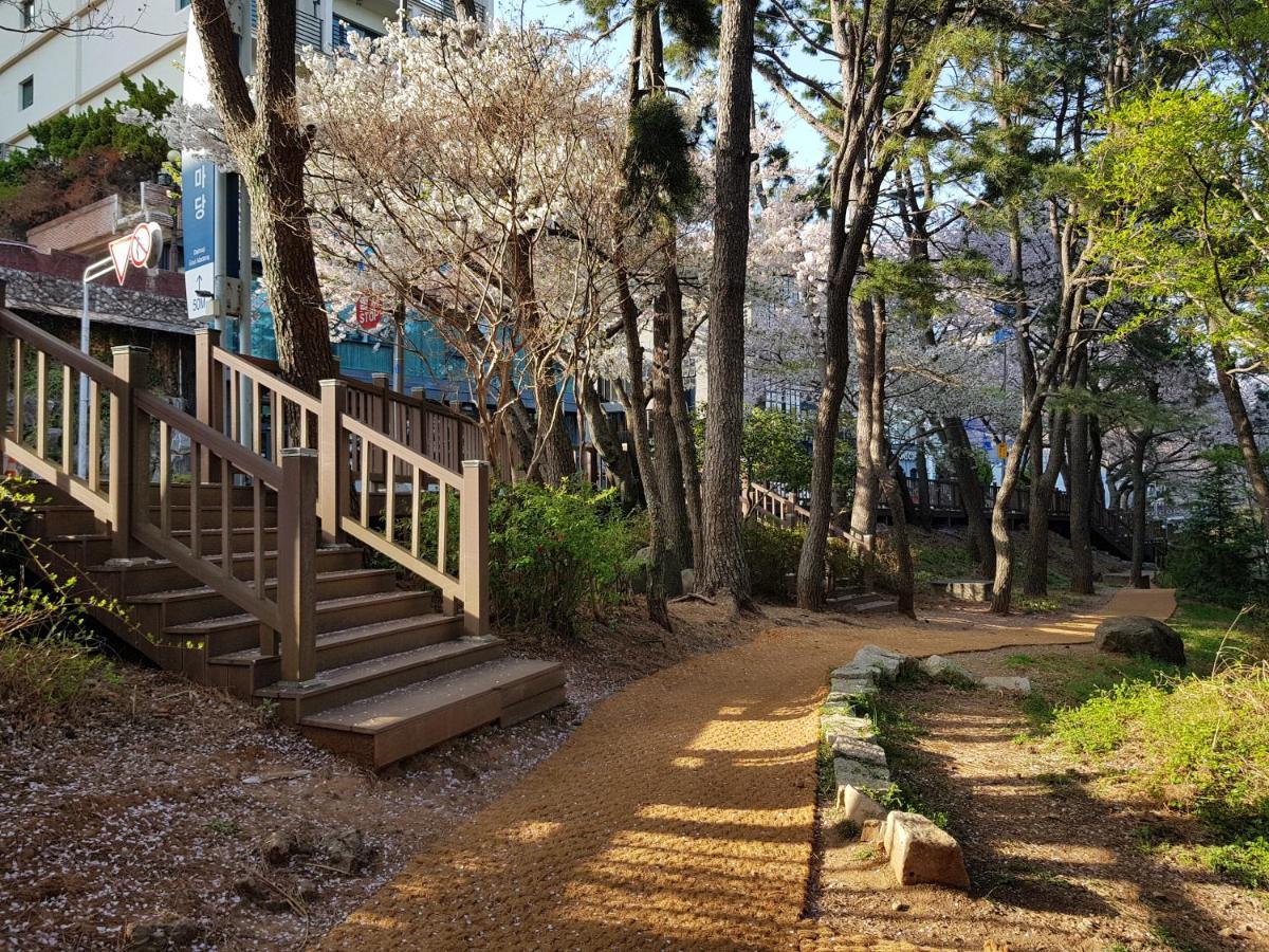 Suntree Hotel Busan Ngoại thất bức ảnh
